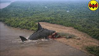 Biologists Didn’t Expect to Find THIS in the Amazon River