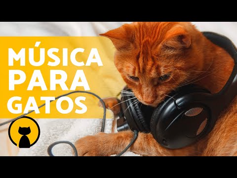 MÚSICA RELAJANTE para