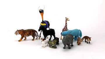 Understanding Indicators in 7 Quick Chapters