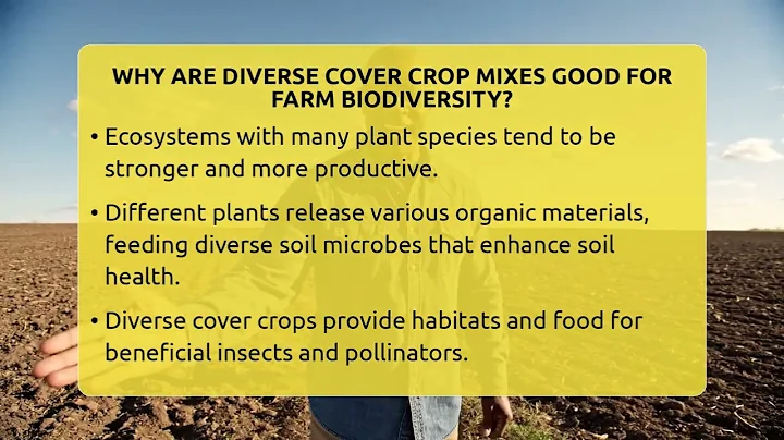 Why Are Diverse Cover Crop Mixes Good For Farm Biodiversity? - Farm Wealth Network