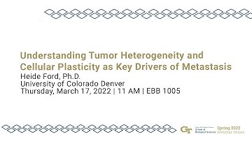 Understanding Tumor Heterogeneity and Cellular Plasticity as Key Drivers of Metastasis