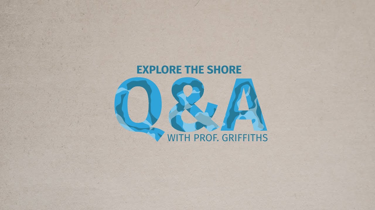 Q&A - Explore The Shore answers your questions.