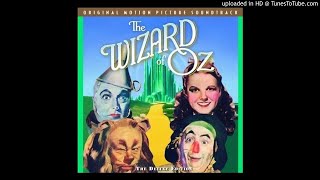 Video thumbnail of "We're Off to See The Wizard"