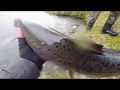 Salmon Fishing, Scotland, River Tay.