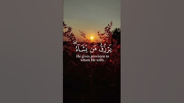سورة الشورى آيه { ١٩ } #المصحف #quran #اكسبلور #لايك #islamicfestival #دويتو #الرحمن #islamicholiday