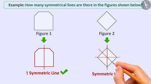 Symmetry in regular polygons | Part 2/3 | English | Class 7
