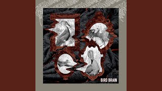Bird Brain - Thriftworks