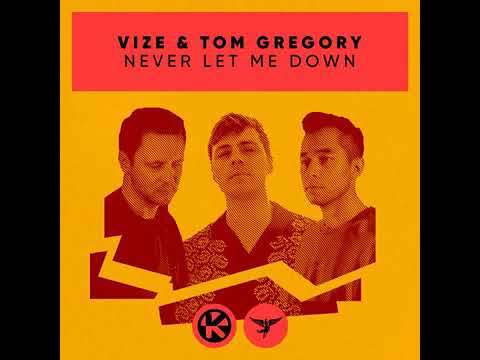 VIZE & Tom Gregory - Never Let Me Down (Audio)