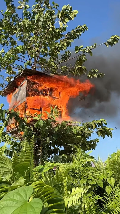 Less than 5 minutes the tree house caught fire😭 #922 #KOOKIKO