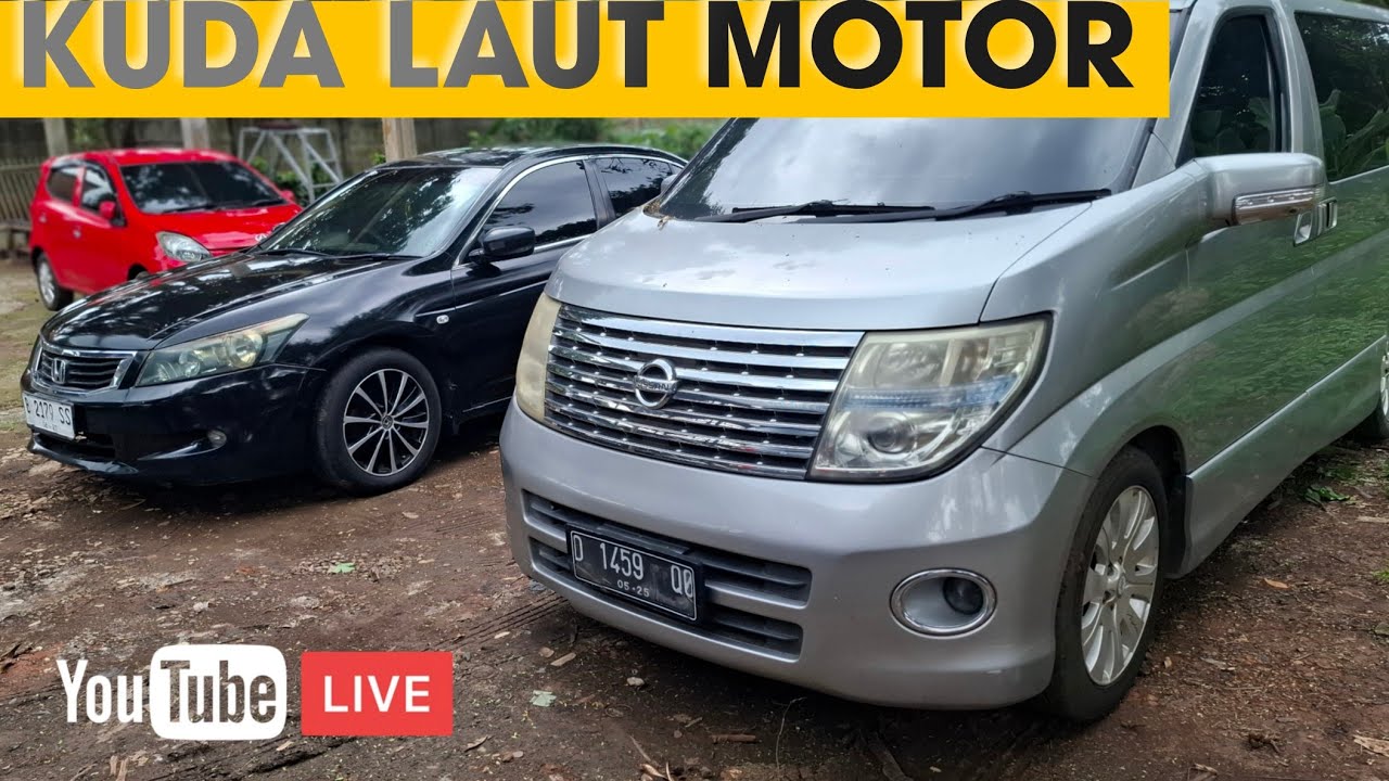 Live Lapak Bajong Cileungsi / 0811-116-7708