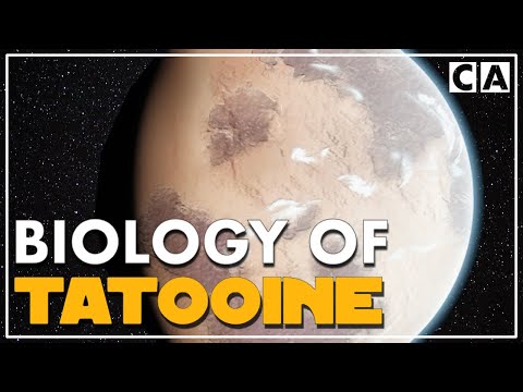 The Biology of Tatooine | Speculative Biology