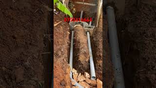 save your money with biodigester