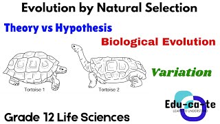 Evolution By Natural Selection - Introduction (2026) Grade 12 Life Sciences