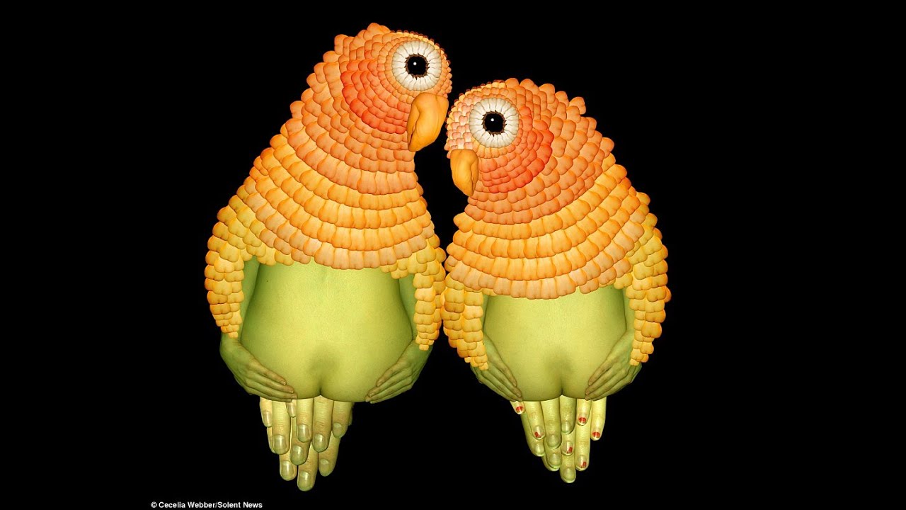 Psychedelic Culture Panel Discussion in the Boom Festival 2012