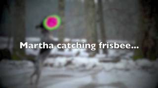 Martha Catches Frisbee!