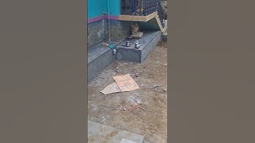 Interlock bricks design for house 🏠...... Part 2 #home #interlock #bricks #share #shots