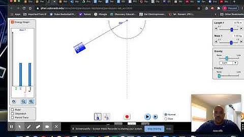 Pendulum Simulation Basic Instructions