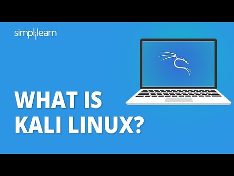 What Is Kali Linux and Why Is It Recommended to Hackers?