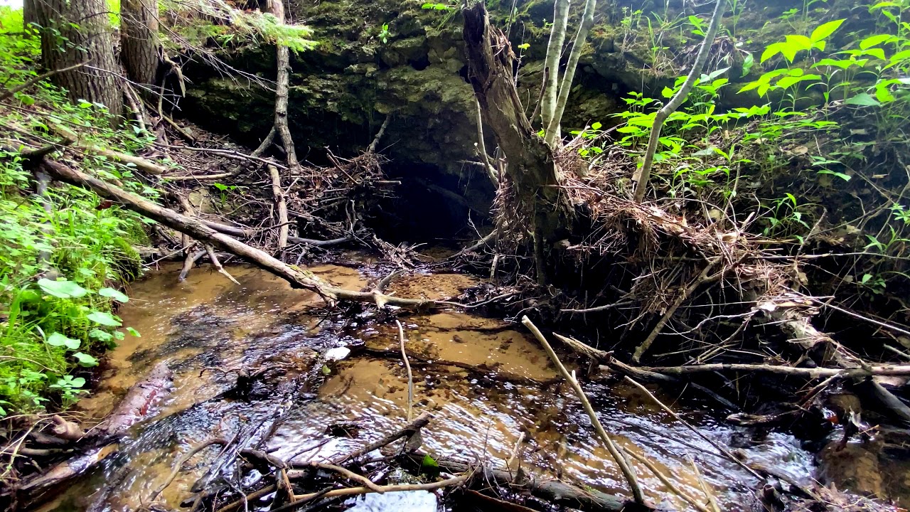 Daily River Relief 60 - Cauchy Creek - YouTube