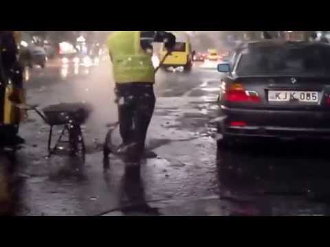 აი ქოცხების დაგებული ასფალტი წვიმაშიც კი არ ისვენებენ