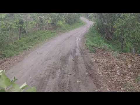 QUE BONITO ES LA VIDA EN EL CAMPO Turisteando con el #PANITATV & #ELSTEVENTV