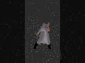 rat dance