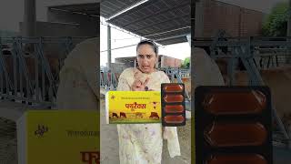 गाय ने जेर नहीं डाली #shortsfeed