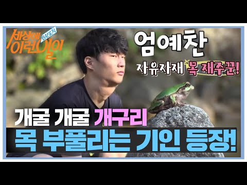 ㅣ순간포착 세상에 이런 일이(<strong>Instant</strong> Capture)ㅣSBS <strong>Story</strong>