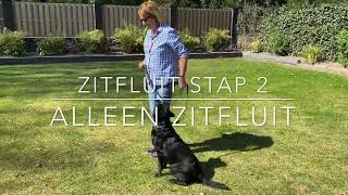 Zitfluit In Stappen