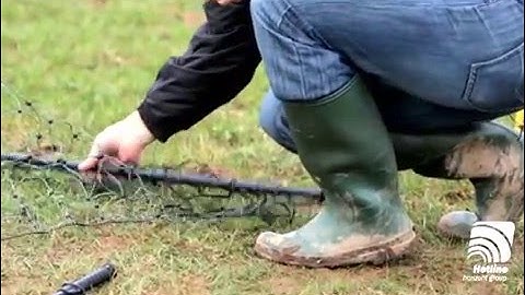 Installing the Hot-gate into existing poultry netting