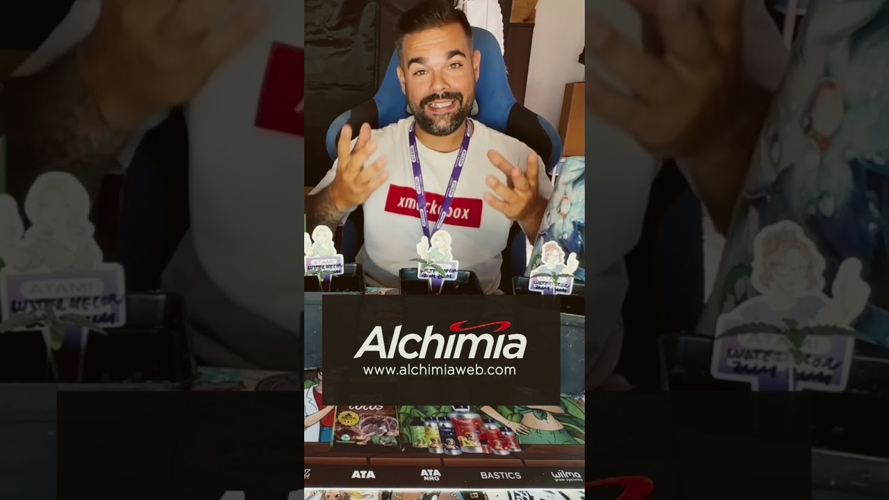 Usa el código xmackobox para comprar en alchimiaweb.com