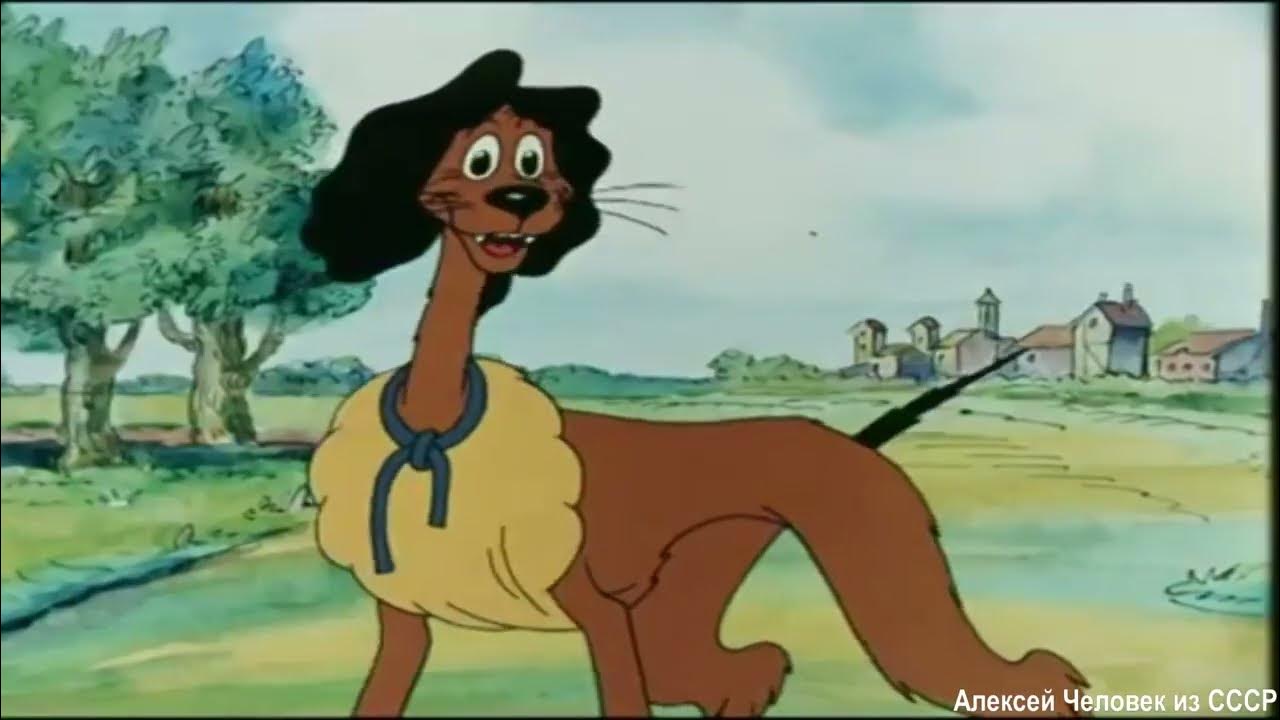 собаки мушкетеры мультфильм. пёс в сапогах мультфильм. собака из мультика пес в сапогах. Dvd пёс в сапогах. союзмультфильм пес в сапогах.