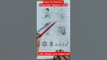 Most Important 🥵 Diagrams for CBSE 2024 | Class 10 Science #diagram #shorts #class10 #cbse #science