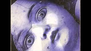 WICKED TEMPER by Randy Thornhorn - Official Book Trailer