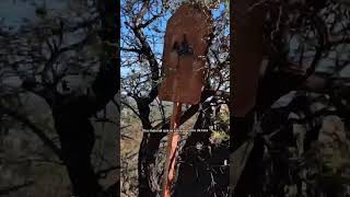 Cuesta de Altautina, #trekking con História y encanto en #traslasierra,#cordoba , #argentina