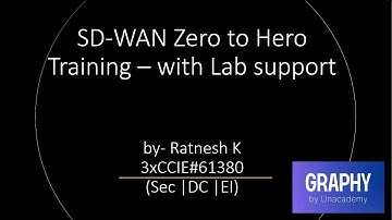 SD-WAN day 22 - SD-WAN API & programming