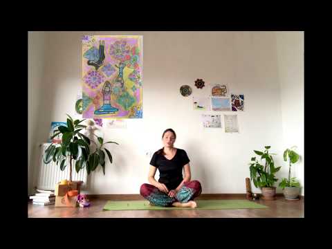 თქვენი ნახატები და პეპლის სასიცოცხლო ციკლი