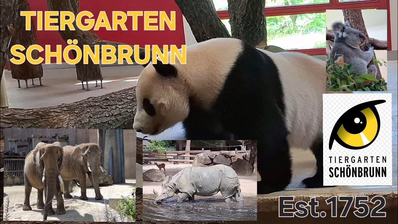 TIERGARTEN SCHÖNBRUNN - Nejstarší zoologická zahrada na světě,Pandy velké a mnoho dalšího 
