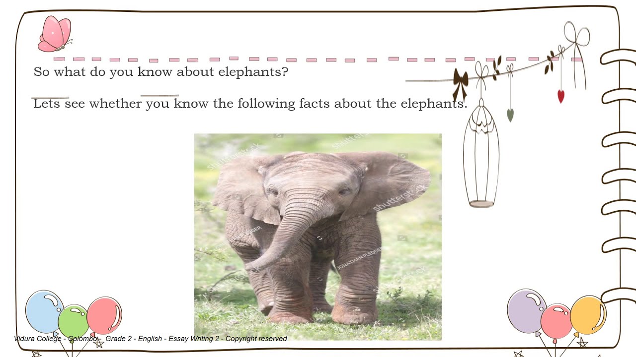 how do you write an elephant essay