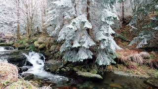 Silent Snowfall by a Small Waterfall: 1 Hour of Relaxation and Joy