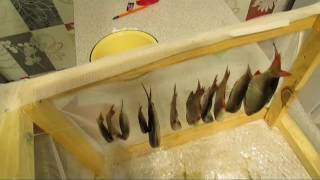Сушилка для рыбы своими руками + как правильно  сушить рыбу