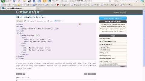 HTML Tutorial :  table border