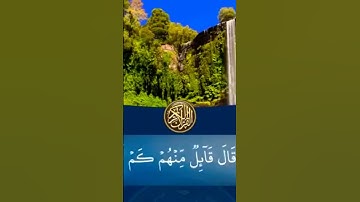 💚وتحسبهم ايقاضا وهم رقود💙تلاوة جميلة ورائعة للقارئ سعيد القاضي 🎙💥👍