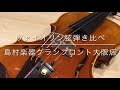 【ヴァイオリン弦弾き比べ】エヴァピラッツィゴールド(ピラストロ社)