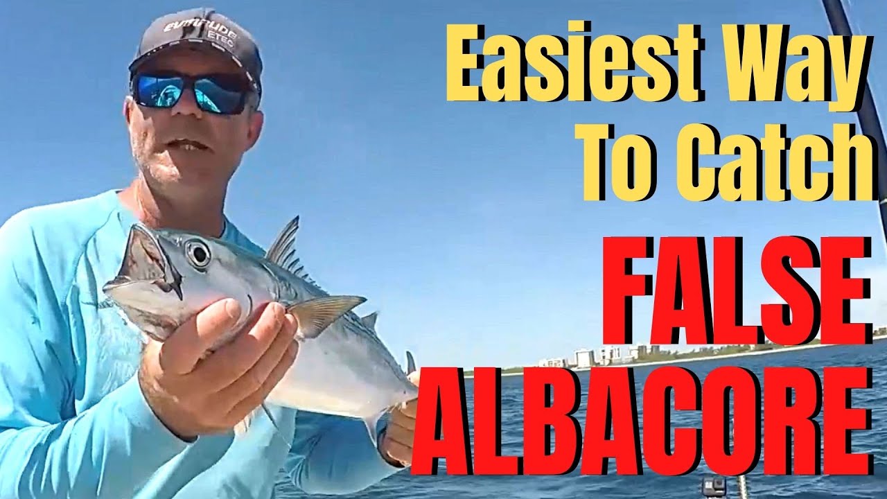 How To Catch FALSE ALBACORE The EASIEST Way LURES, BAIT, GEAR, TROLLING  BASICS & TACTICS 