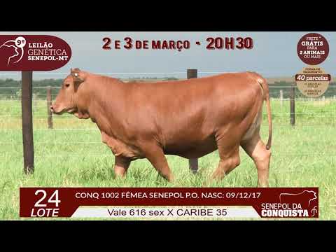 LOTE 24 CONQ 1002