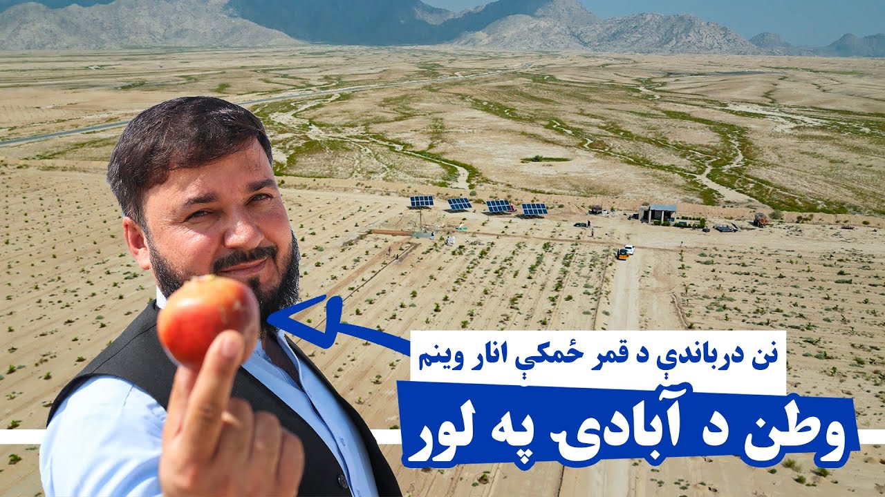 په سپېره دښته کې انار