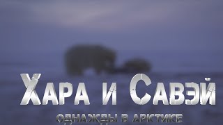 Хара и Савэй. Однажды в Арктике