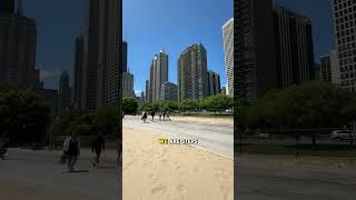 1000 N Lake Shore Dr Unit 1406
