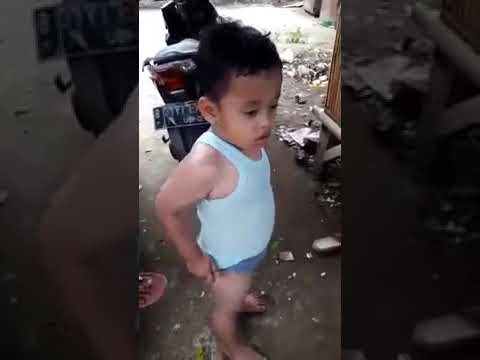 Video: Koma Pada Anjing